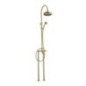 OLD FASHION Colonna doccia completa di gruppo vasca esterno su piantana a pavimento finitura dark bronze