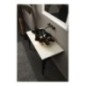 SHELL lavabo d'appoggio finitura black&gold