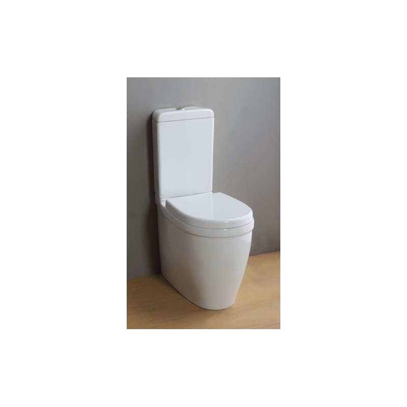 YOUNG vaso monoblocco finitura bianco lucido