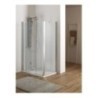 MIRA DOOR Porta battente pieghevole finitura argento satinato 105 cm trasparente (misura 100/105 h.185)