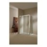 PLANAS Porta 1 anta scorrevole + 1 anta fissa finitura argento satinato 149 cm trasparente (misura 145/149 h.195)