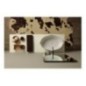 OYSTER lavabo d'appoggio finitura bianco lucido
