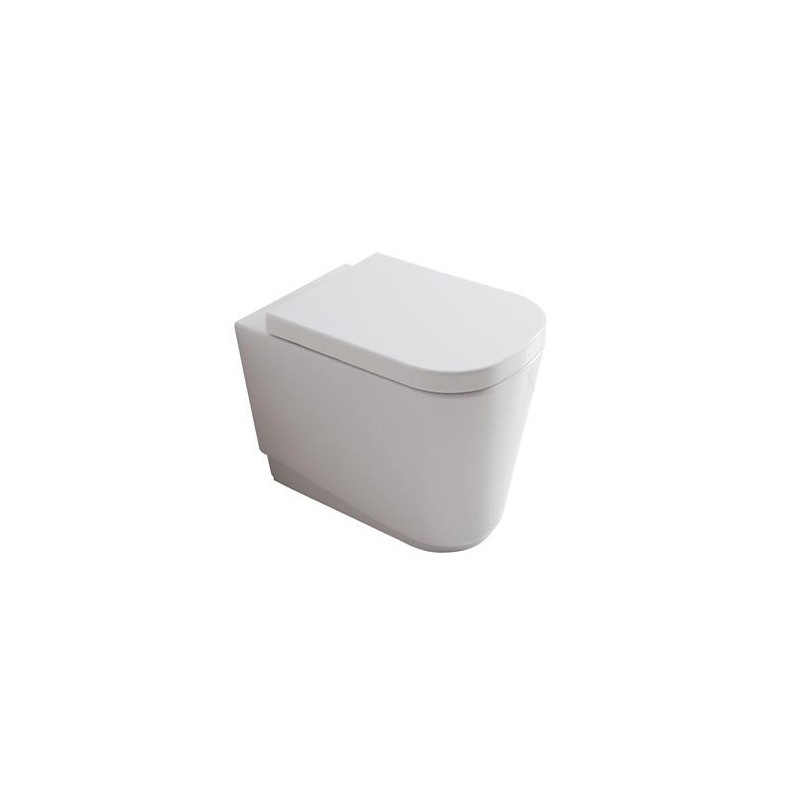 MEG11 vaso