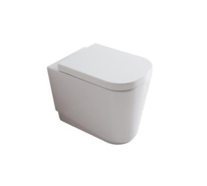 MEG11 vaso