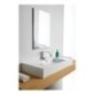 TEOREMA 2.0 100 DOUBLE SHELF lavabo da appoggio o sospeso