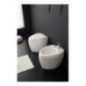 MOAI bidet a terra