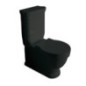 ETHOS vaso monoblocco finitura nero